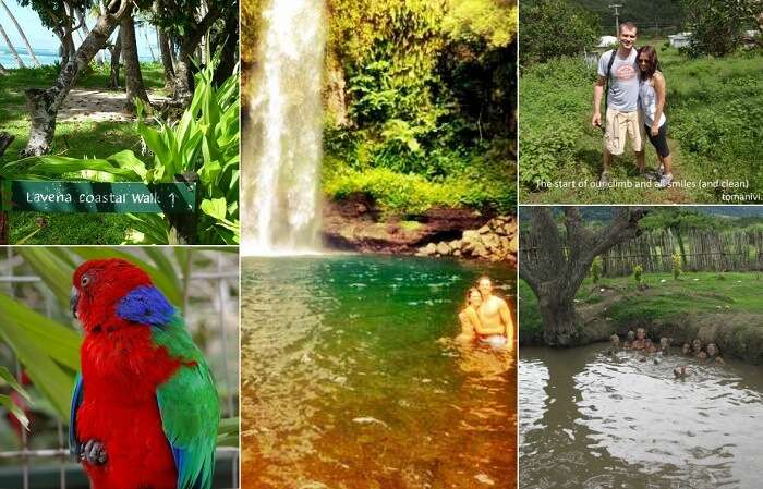 A collage of the major tourist attractions in Fiji