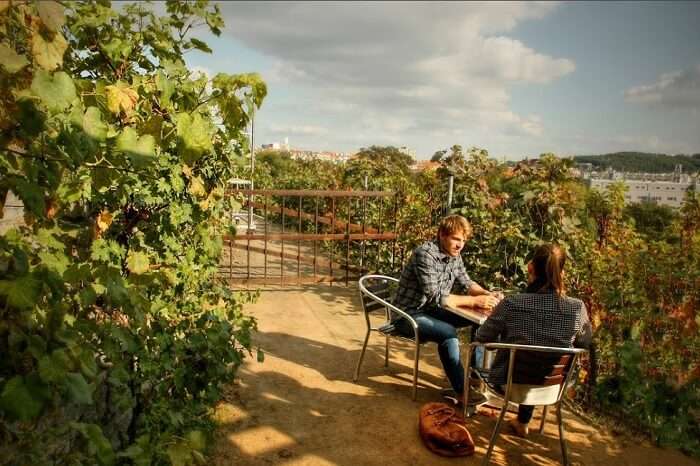 A couple enjoying vine at one of the vineyards in Prague