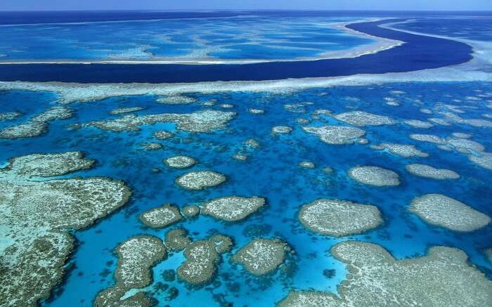 An aerial view of the Great Barrier Reef with its multitude of coral shoals.