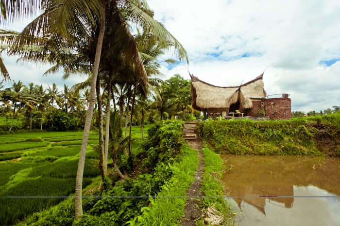 Bamboo Eco Cottage In Rice Field