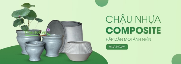 Báo giá chậu composite hiện tại tại Chậu Tốt