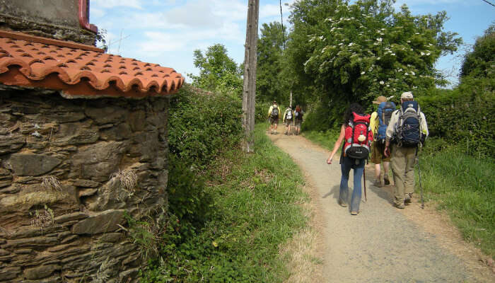 Camino Trail, Spain