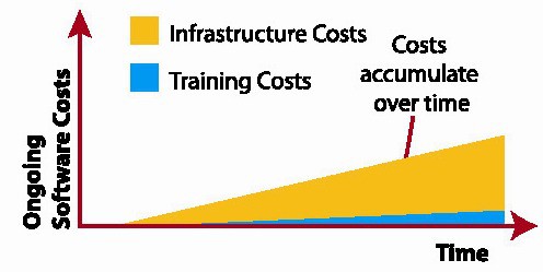 Figure 5. Ongoing saas costs