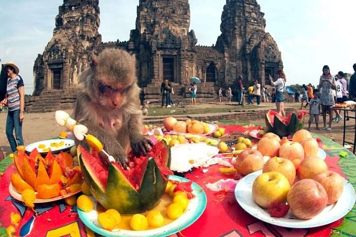 Lopburi Monkey Banquet