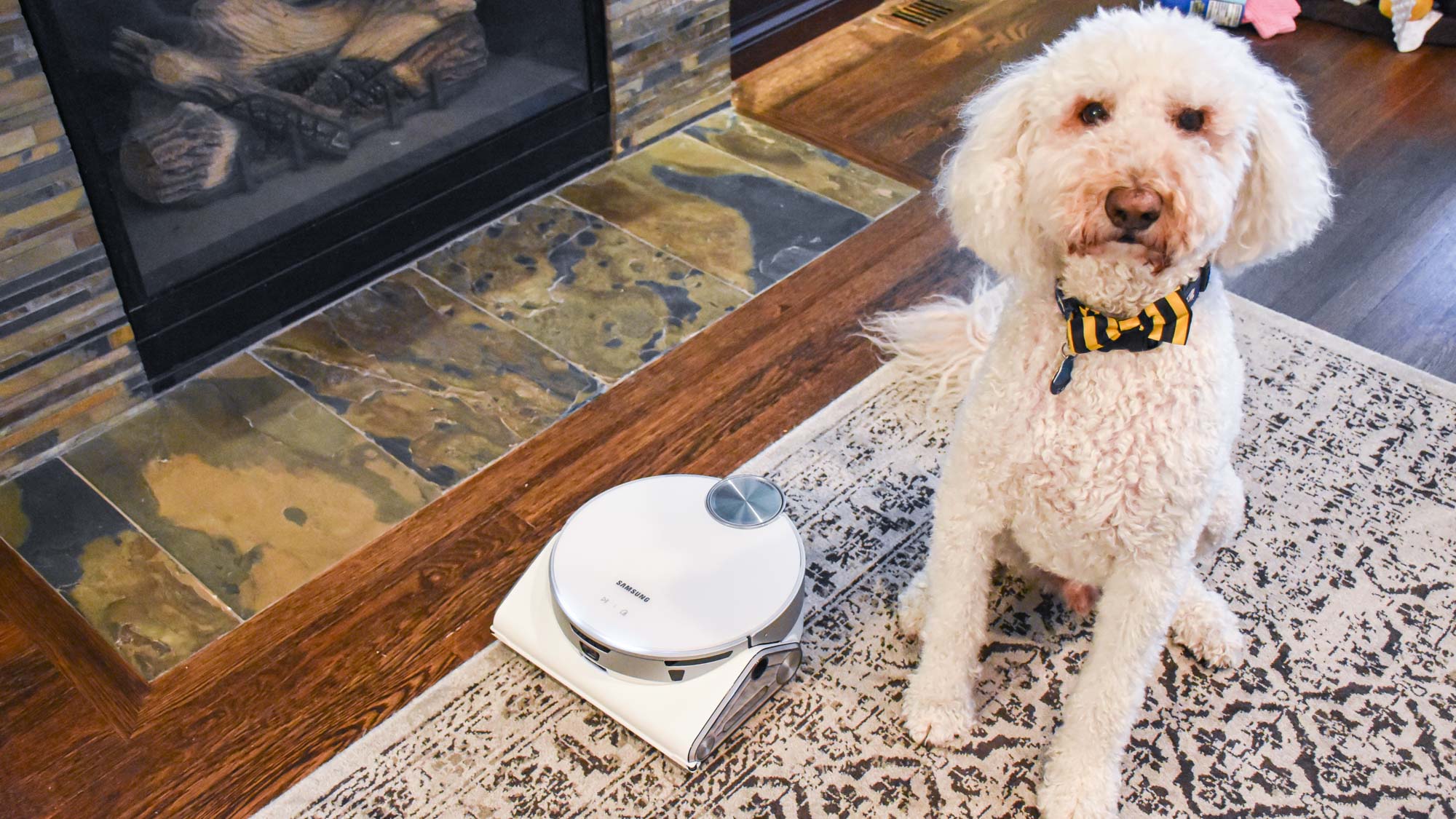 Samsung JetBot AI  in action on floors