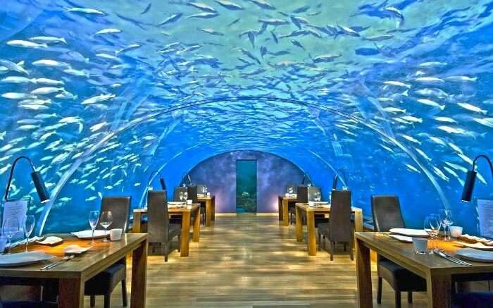 The underwater dining experience in Maldives