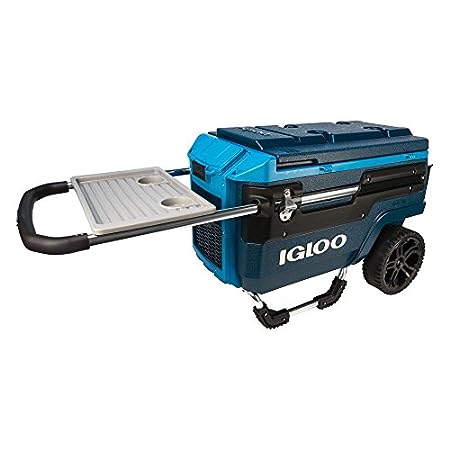 Ultimate Guide: Top Beach Coolers with Wheels for Summer 2023