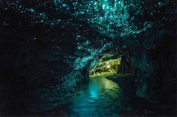 Waitomo Glowworm caves